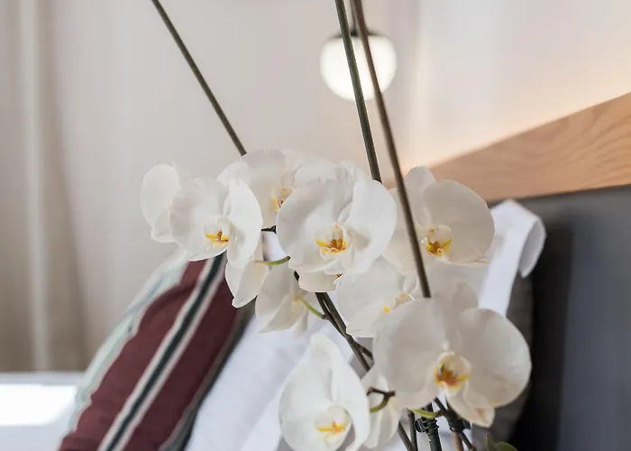 Harismari Cozy Guest house