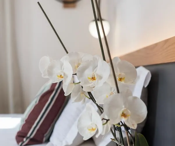 Harismari Cozy Guest house Chania (Crete)